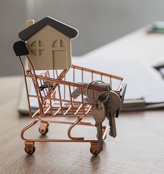 SunShine Real estate solution